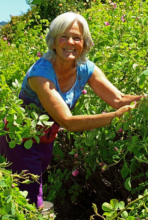 perfume rose picker